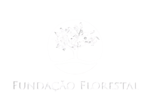 75087885-1048-40cf-bc26-87320ebe0c34