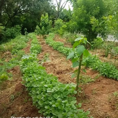 61b6083d-2083-4a4c-ada0-c8d17a42aad6