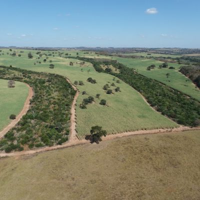 WhatsApp Image 2026-01-26 at 14.34.34