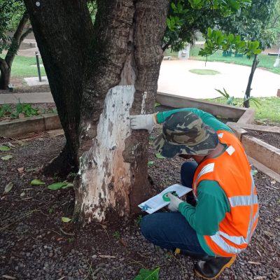 be085573-1879-4e76-9f32-06c2803db200