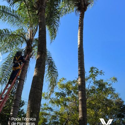 f21c9360-bae8-49e6-b922-fdfb02a35c78