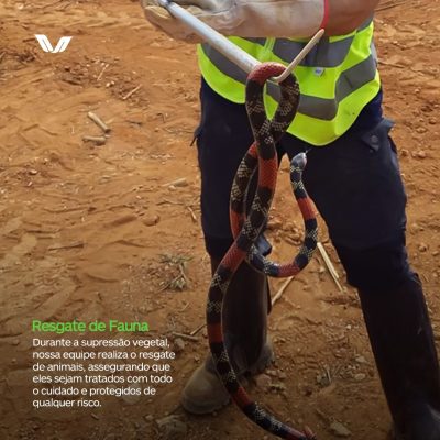 f33639d4-8496-4733-9c00-4e235f4bd631