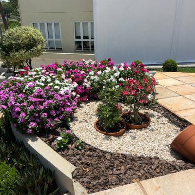 fda74455-c70e-4a1b-9f97-8b44abe78667